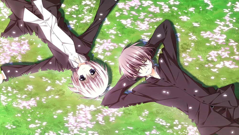 Ⅵ章
